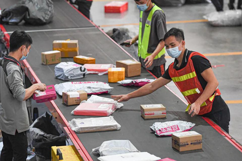 1606364382386330.jpg 1.jpg